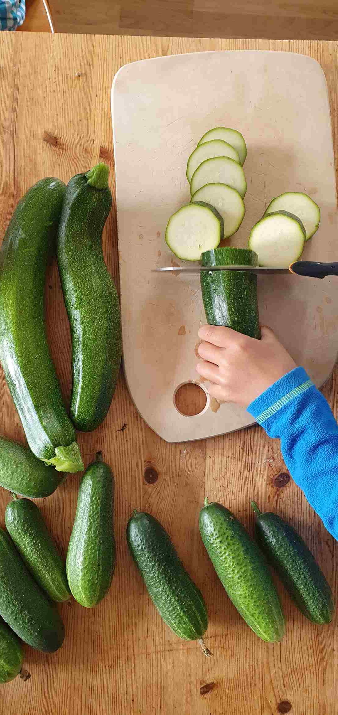 Different Kinds Of Squash Plants Happy Homeschooling Different kinds of squash plants happy homeschooling