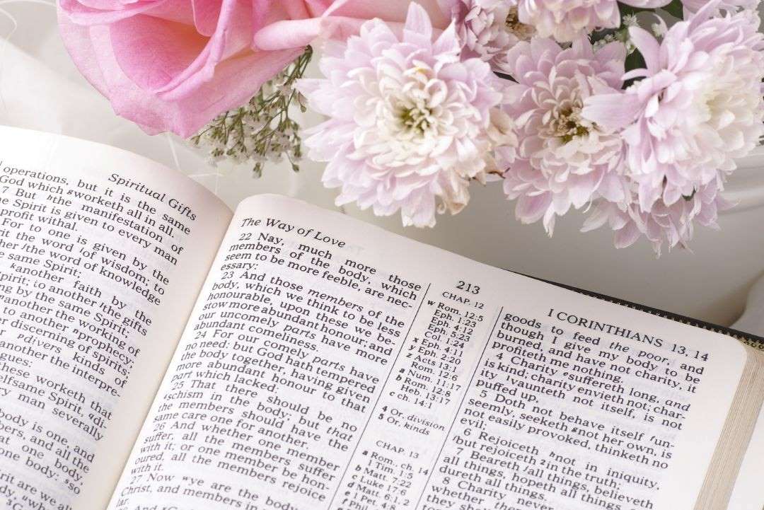 Appreciation Scriptures Bible Verses about Appreciation and Gratitude – Happy Homeschooling