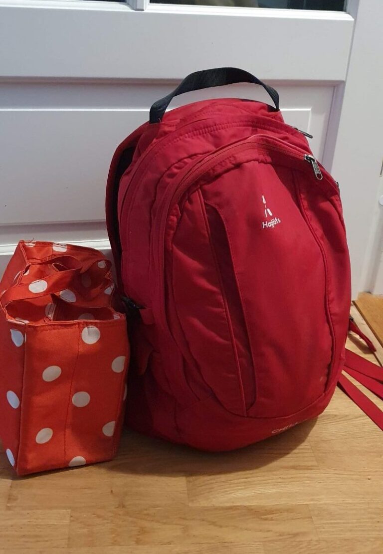 Hiking Backpack for Kids